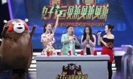 安徽综艺在线直播观看,精彩节目轮番上演，尽享视听盛宴